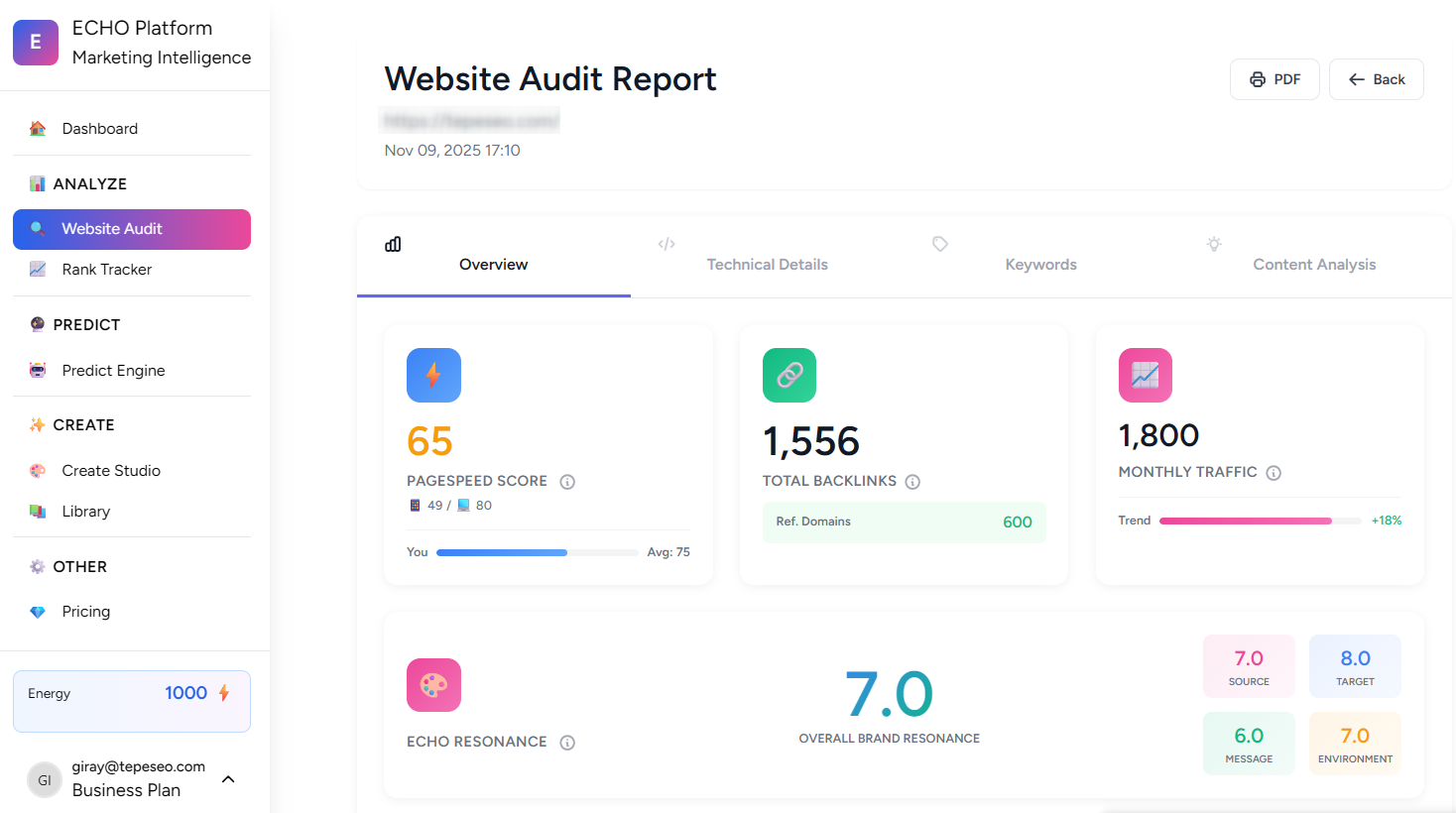 Website Audit Results